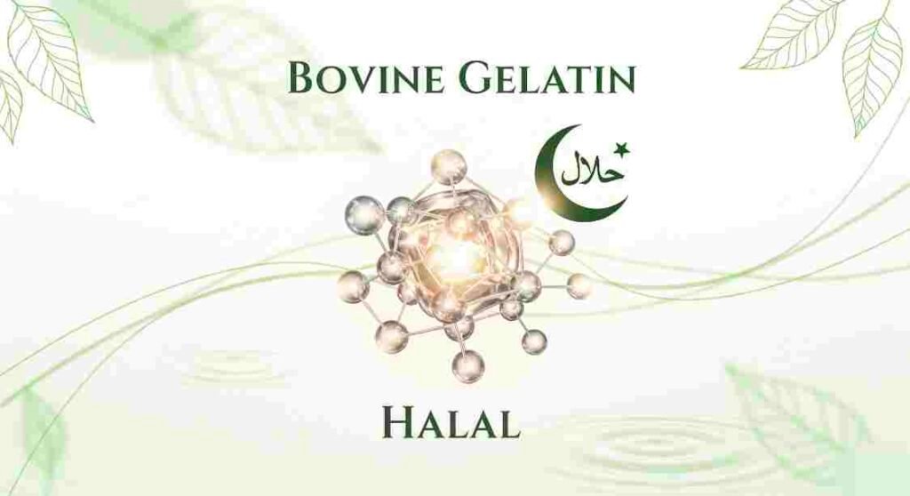 what is bovine gelatin halal