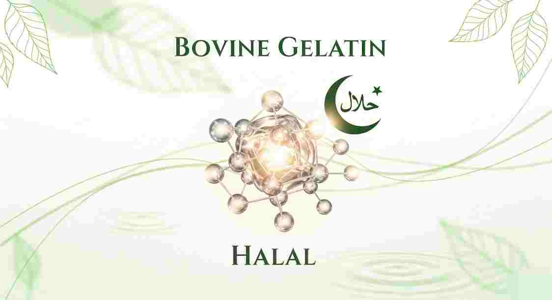 what is bovine gelatin halal